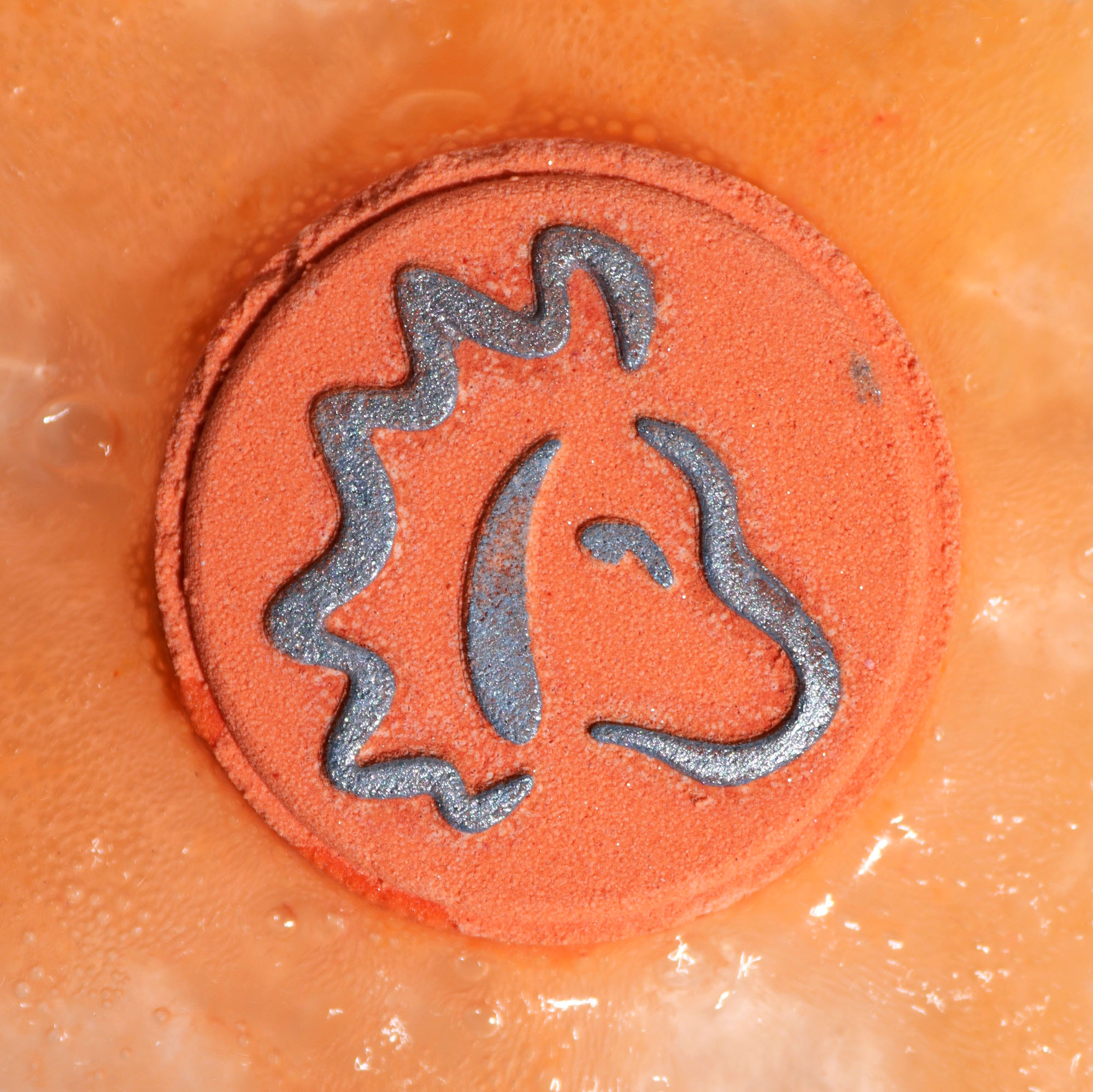 Précommande – Ensemble de Boules de Bain du Zodiaque avec Horoscope - Lion